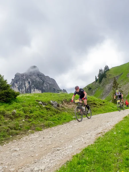 Trail MTB-Marathon Pfronten im Allgäu Mountainbiker fahren einen schmalen Weg bergab durch die Allgäuer Berglandschaft.