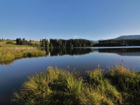 Badeseen im Allgäu - der Kögelweiher Der Badesee Kögelweiher, ein von Wäldern umschlungener Moorsee.