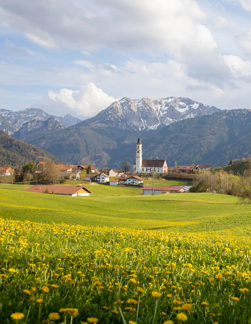 Wandern im Allgäuer Frühling Sonniger Panoramablick auf eine grüne Wiesenlandschaft in Pfronten.