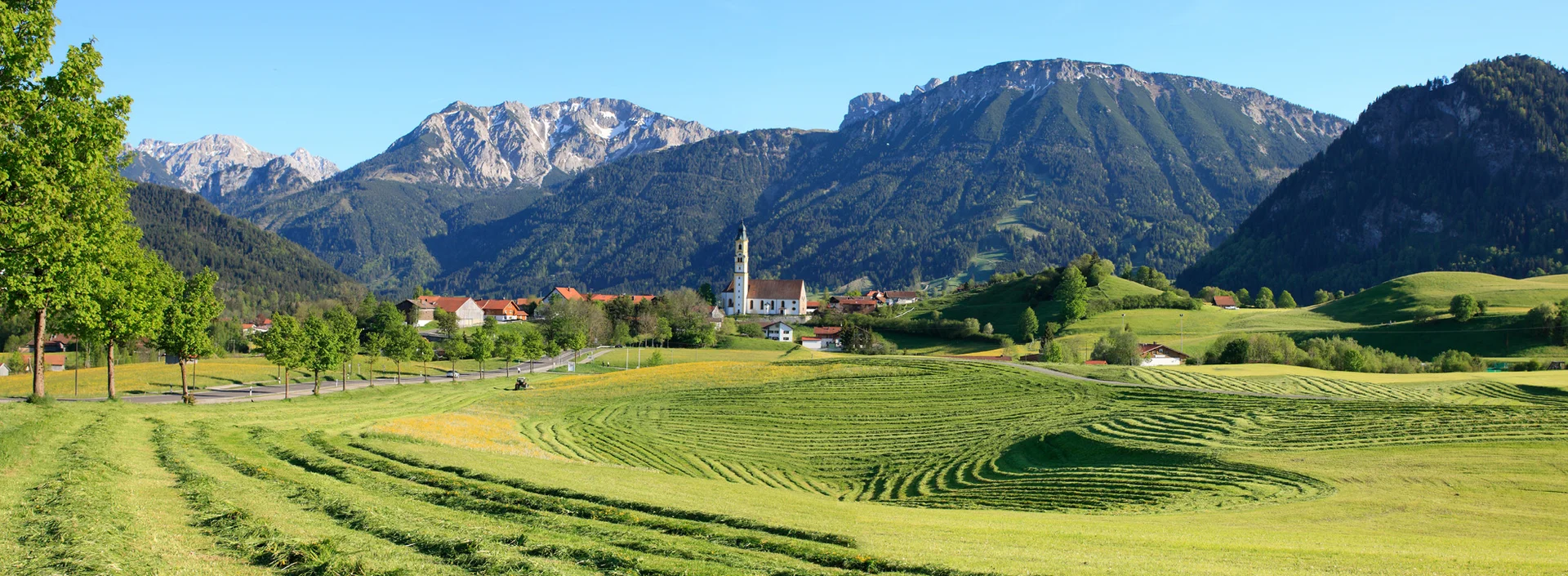Blick auf die Pfarrkirche St. Nikolaus über gemähte Wiesen Blick auf die Pfarrkirche St. Nikolaus über gemähte Wiesen.