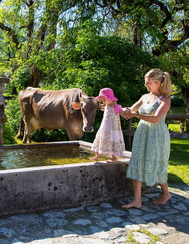 Urlaub auf dem Bauernhof mit der Familie Eine Familie an einem Brunnen, aus dem Kühe trinken.