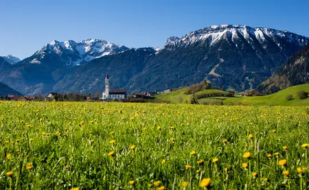 Kirche St. Nikolaus in Pfronten Sommerliche Löwenzahnwiese mit Panoramablick und beeindruckender Bergkulisse.