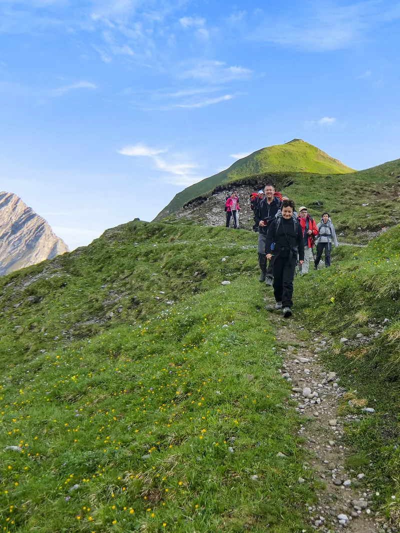 Der Weg über die Alpen - von Pfronten im Allgäu nach Südtirol Eine Gruppe Wanderer auf einem schmalen Pfad umgeben von grünen Bergwiesen.