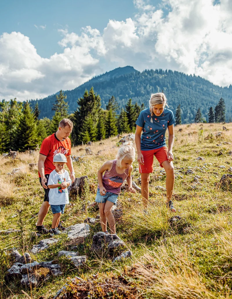 Eine Familie wandert auf einem sonnigen Hang, der mit Gräsern und einigen Steinen bedeckt ist. Im Hintergrund ist eine bergige Landschaft.