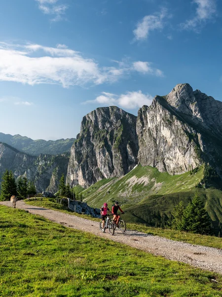 Mountainbiken in den Alpen in Pfronten im Allgäu Mountainbiker auf einer Tour in den Allgäuer Alpen mit einer tollen Bergkulisse.