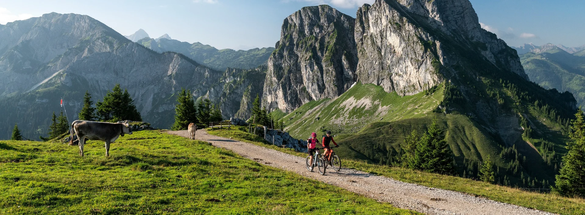 Mountainbiken in den Alpen in Pfronten im Allgäu Mountainbiker auf einer Tour in den Allgäuer Alpen mit einer tollen Bergkulisse.