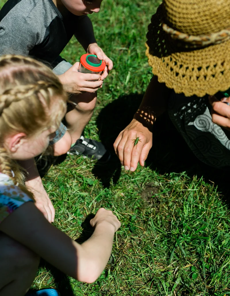 Naturdetektive – begleitetes Spielen auf den Pfrontener Spielplätzen Kleine und große Naturdetektive knien auf einer grünen Wiese und beobachten einen Grashüpfer.