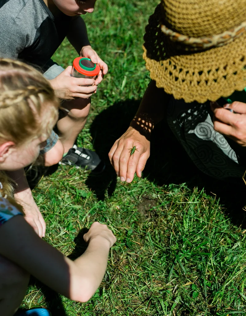 Naturdetektive – begleitetes Spielen auf den Pfrontener Spielplätzen Kleine und große Naturdetektive knien auf einer grünen Wiese und beobachten einen Grashüpfer.
