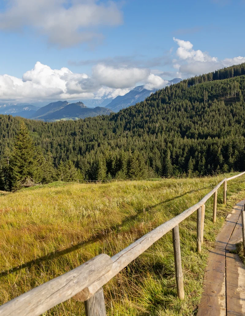 herbstliche Landschaft
