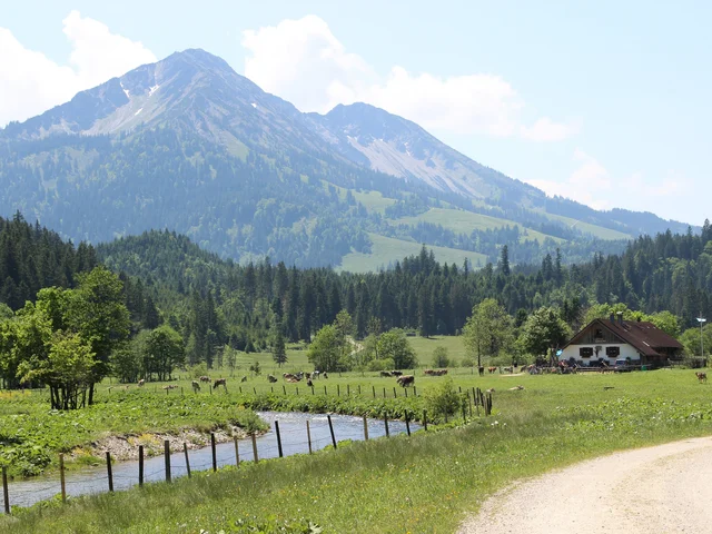 Kalbelehof Alpe im Vilstal - Hütte in Pfronten im Allgäu Die idyllisch im Grünen gelegene Kabelehof Alpe im Vilstal.