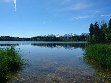 Natur pur am Schwaltenweiher im Allgäu Der Schwaltenweiher: ein schöner Badesee mit herrlichem Bergpanorama.