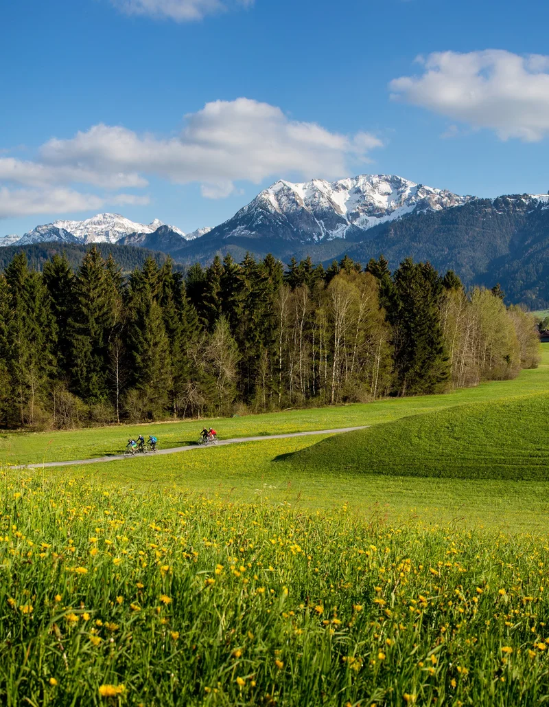 Frühlingshafter Panoramablick über die Wiesen Pfrontens mit weißen Berggipfeln.
