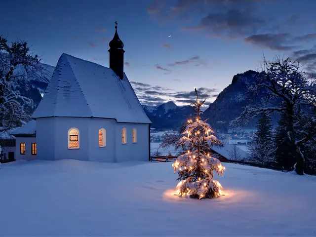 Beleuchteter Christbaum im idyllisch verschneiten Pfronten-Meilingen. 