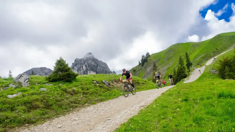 Trail MTB-Marathon Pfronten im Allgäu