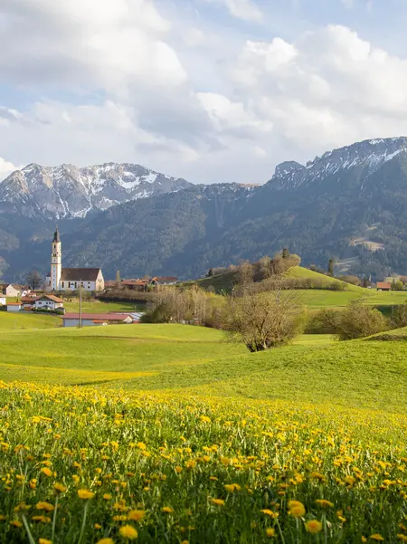 Sonniger Panoramablick auf eine grüne Wiesenlandschaft in Pfronten.