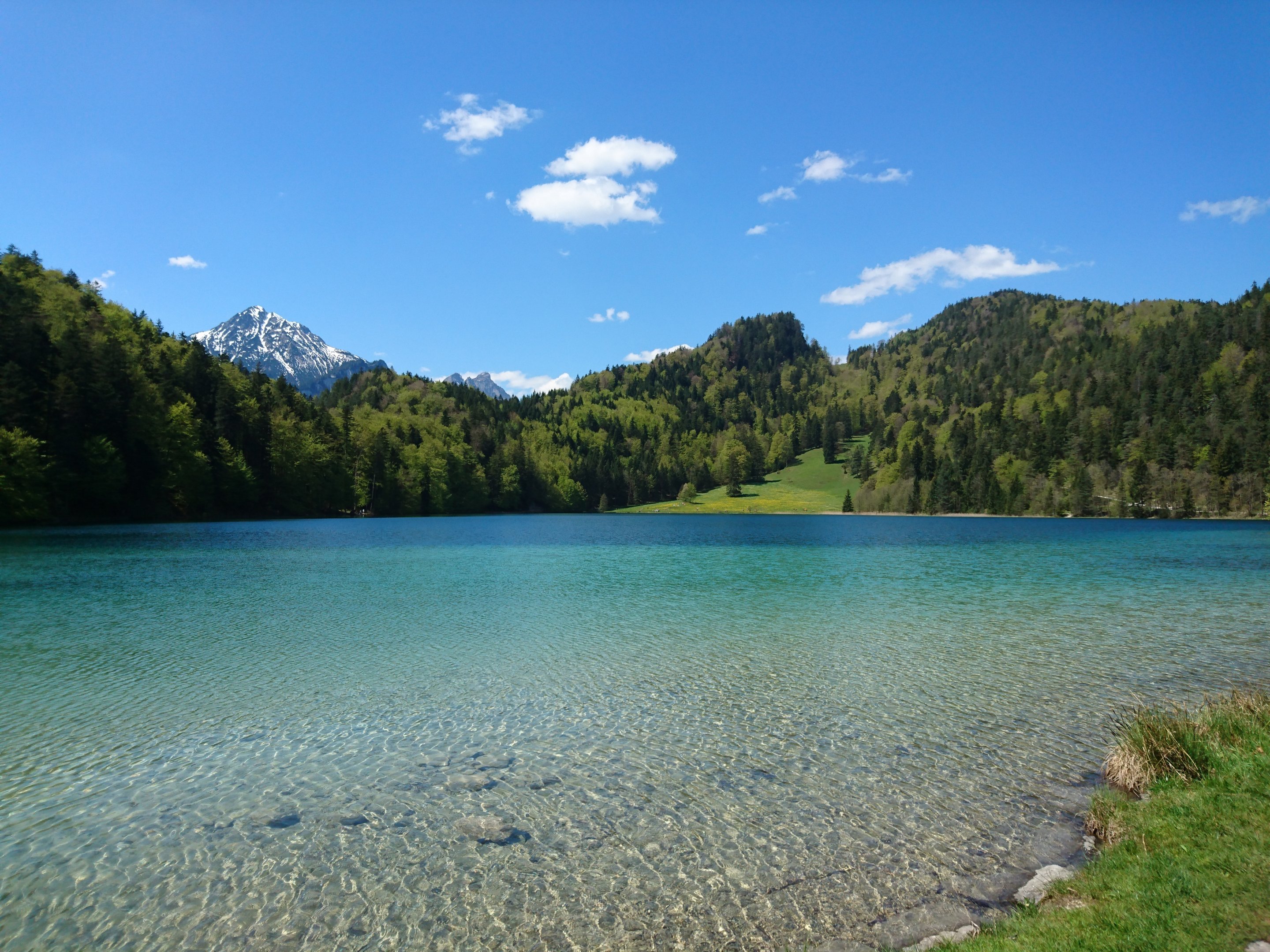 Der Alatsee im Allgäu » Baden in kristallklarem Wasser!